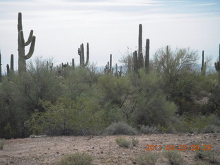 46 7jp. Vulture Mine airstrip run