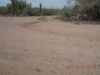 51 7jp. Vulture Mine airstrip run