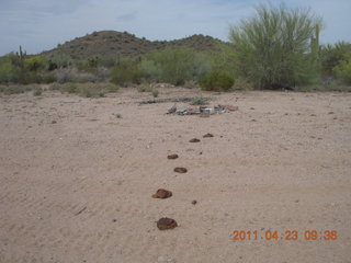 58 7jp. Vulture Mine airstrip run - runway markers (poop in a line)
