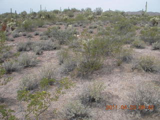61 7jp. Vulture Mine airstrip run