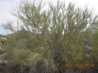 68 7jp. Vulture Mine airstrip run