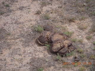 83 7jp. Vulture Mine airstrip run - runway 'marker' (poop)