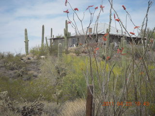103 7jp. Vulture Mine walk to tour