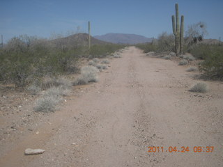 Windmill airstrip - N8377W