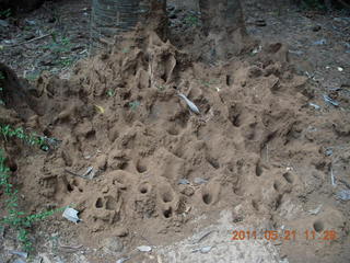 India - Auroville giant 'prehistoric' anthill?