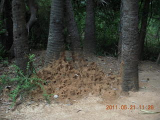 68 7km. India - Auroville giant 'prehistoric' anthill?