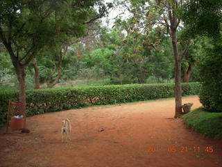 84 7km. India - Auroville