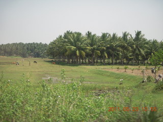 India - Puducherry (Pondicherry) to Mamallapuram