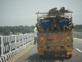India - Puducherry (Pondicherry) to Mamallapuram - truck (lorry)