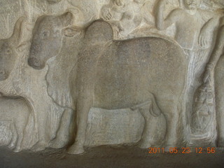India - Mamallapuram - bas relief, Adam