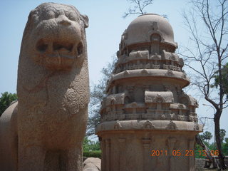 219 7kp. India - Mamallapuram - animal sculptures and temples