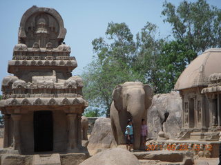235 7kp. India - Mamallapuram - animal sculptures and temples