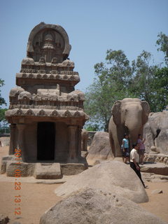 236 7kp. India - Mamallapuram - animal sculptures and temples