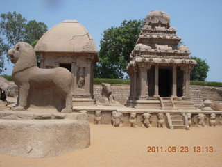 240 7kp. India - Mamallapuram - animal sculptures and temples