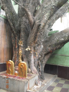 90 7kq. India - Bengaluru (Bangalore) - temple