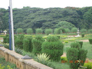 150 7kq. India - Bengaluru (Bangalore) - castle grounds