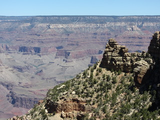 India - Puducherry (Pondicherry) run - other runners (with numbers)