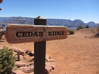 Norbert's pictures - Grand Canyon trip - Ceder Ridge sign