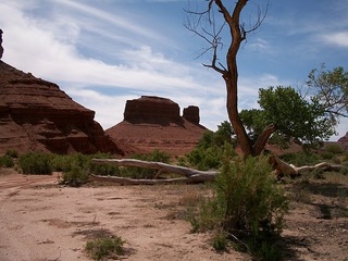 Norbert's pictures - Grand Canyon trip - aerial - Deer Valley Airport (DVT)