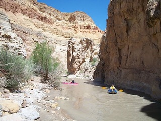 Bryce's pictures of Muddy Creek near Hidden Splendor