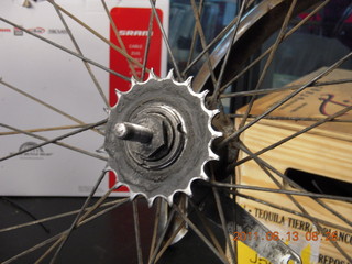 'shark teeth' on old Schwinn Typhoon rear gear