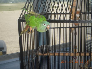86 7m2. cool bird at Ann Arbor Airport (ARB)