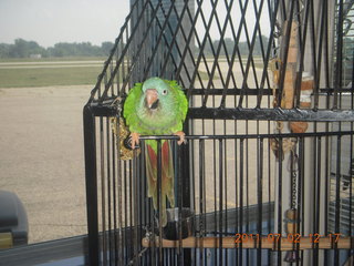 87 7m2. cool bird at Ann Arbor Airport (ARB)