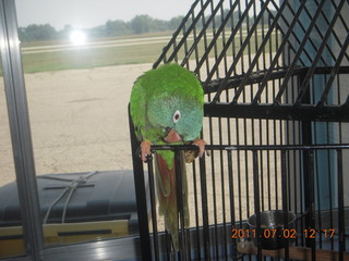 88 7m2. cool bird at Ann Arbor Airport (ARB)