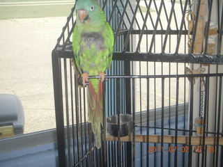 89 7m2. cool bird at Ann Arbor Airport (ARB)