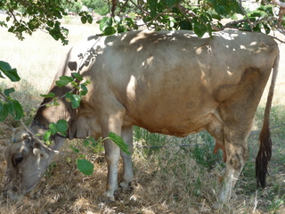 Michael C's pics - hiking in Turkey