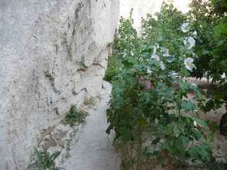 Michael C's pics - hiking in Turkey