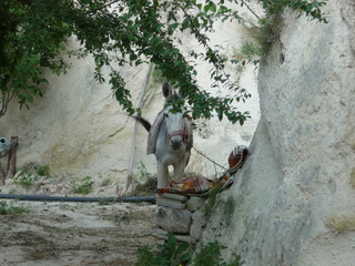 Michael C's pics - hiking in Turkey