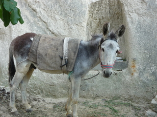 Michael C's pics - hiking in Turkey