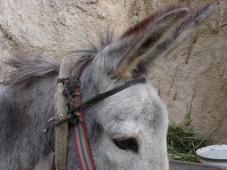 Michael C's pics - hiking in Turkey