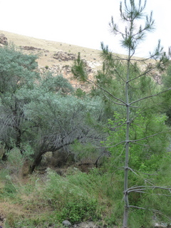 Michael C's pics - hiking in Turkey