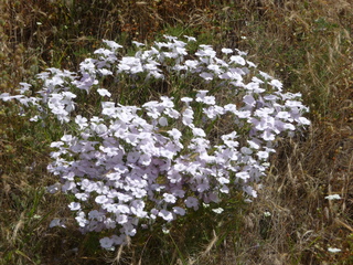 Michael C's pics - hiking in Turkey