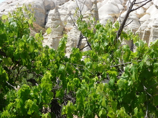 Michael C's pics - hiking in Turkey