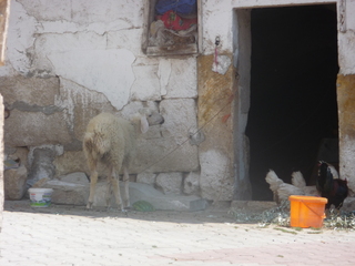 Michael C's pictures - Turkey