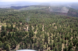 Sean's pictures - aerial