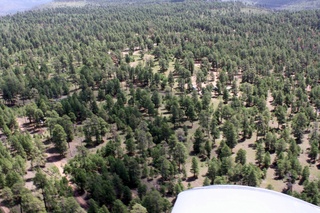 Sean's pictures - aerial