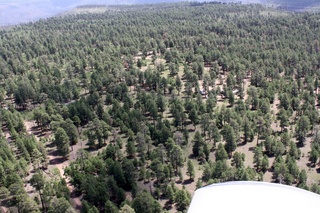 Sean's pictures - aerial