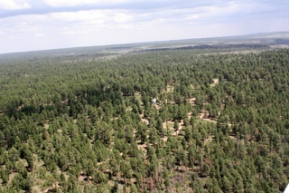 Sean's pictures - aerial