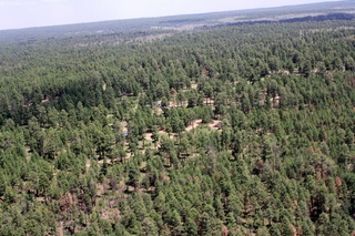 Sean's pictures - aerial