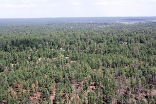 Sean's pictures - aerial