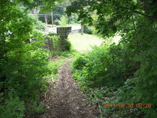 Cheltenham Cross Country - Curtis Arboretum XC