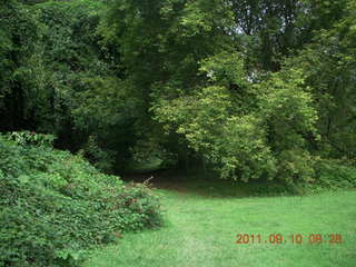 Cheltenham Cross Country - Curtis Arboretum - new-course views (in reverse order as I ran the loop backwards)