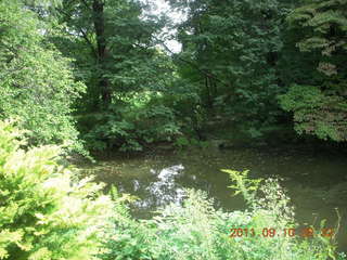 Cheltenham Cross Country - Curtis Arboretum