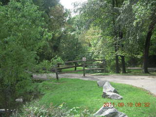 Cheltenham Cross Country - Curtis Arboretum