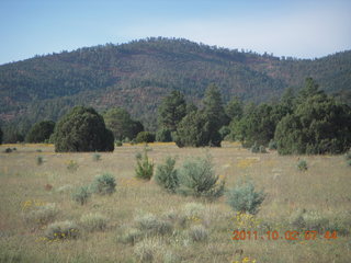 Beaverhead run