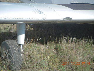 630 7q2. Beaverhead run - weeds and N8377W landing gear